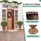 Bronze PP Vintage Urn Planters Set of 2 for Indoor Outdoor Decor